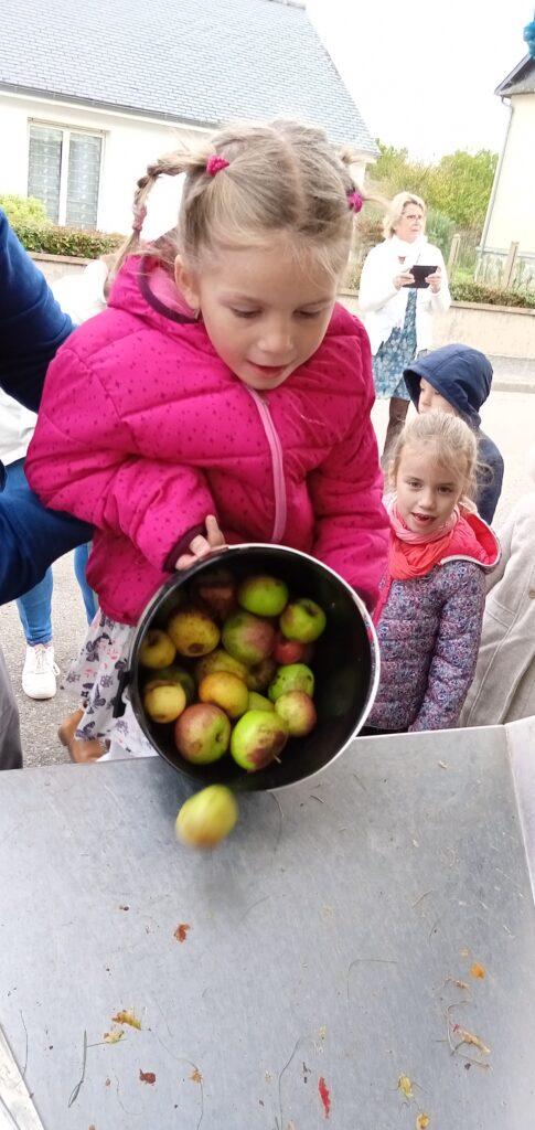 Opération pressage de pommes