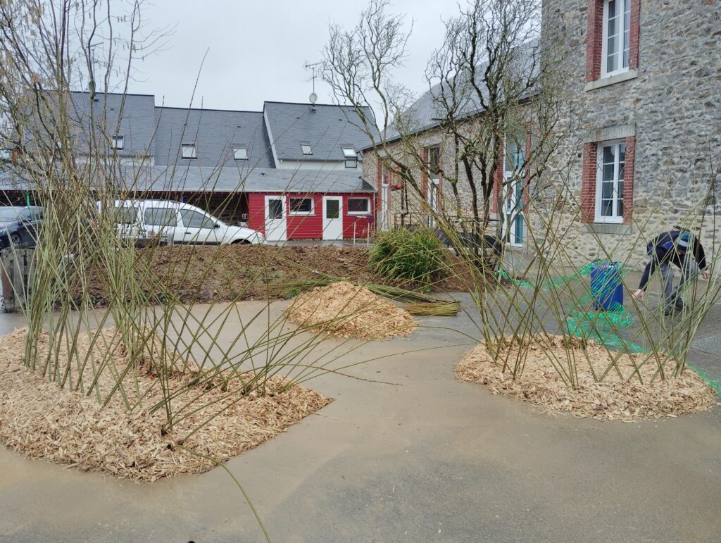 Une cour de récréation plus verte !