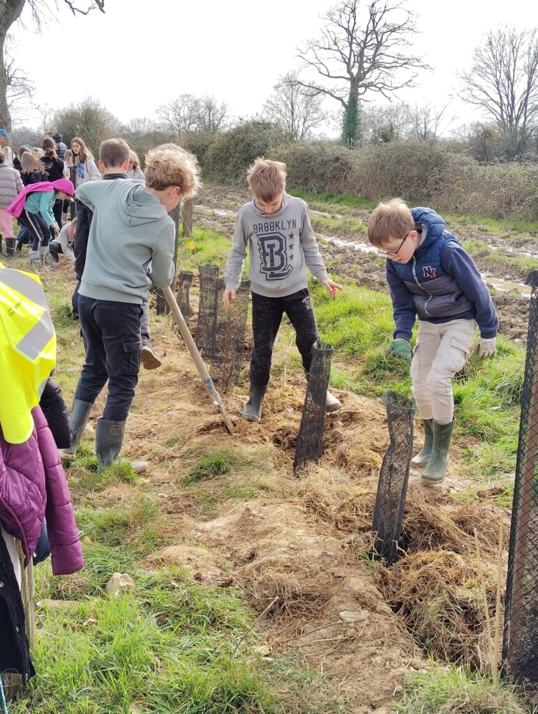 Plantation d&rsquo;une haie
