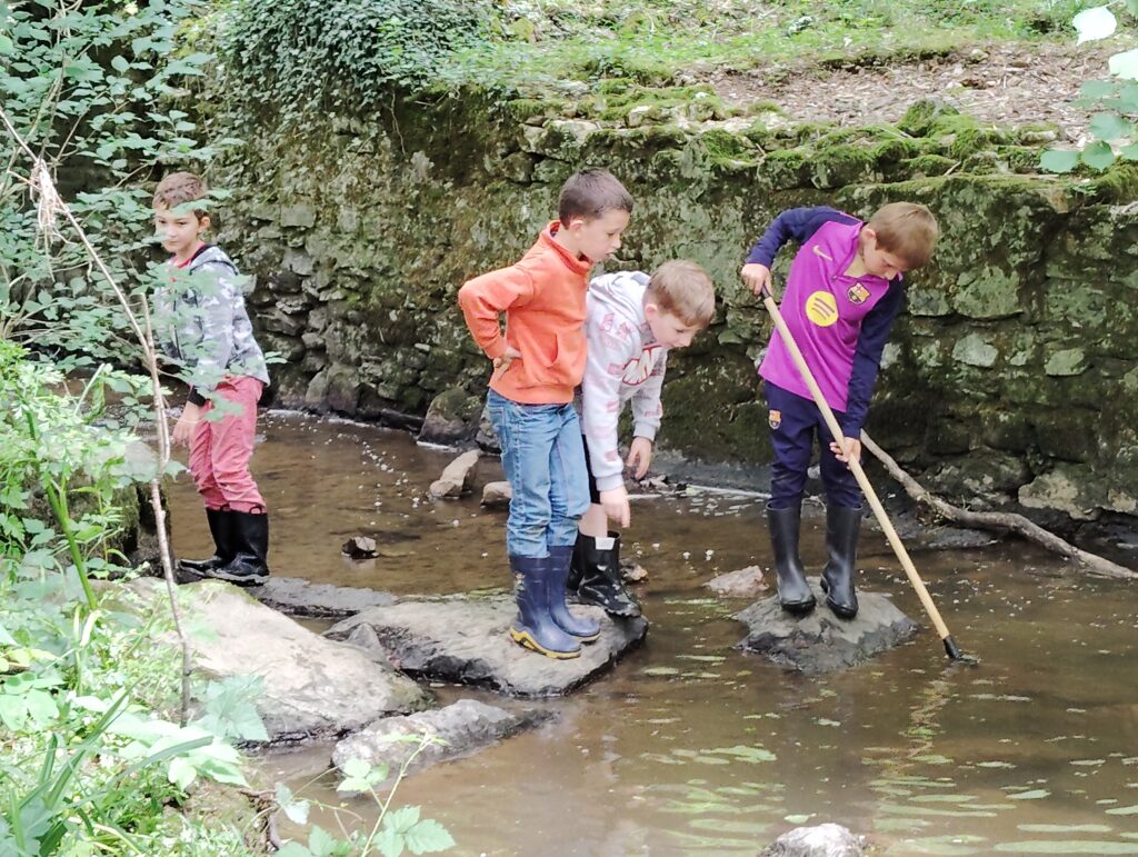 Classe dehors : La rivière et ses petites bêtes Classe dehors : La rivière et ses petites bêtes